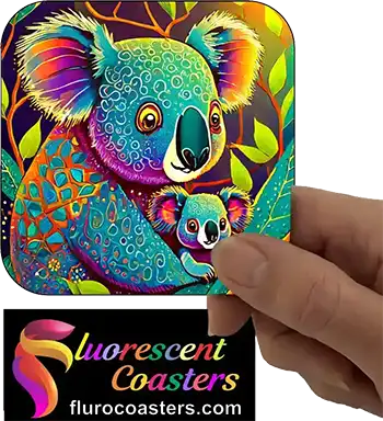  Koala 23