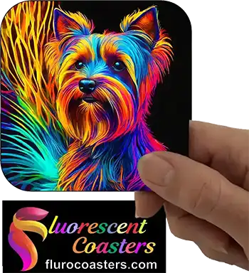  Silky Terrier Dog 1