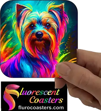  Silky Terrier Dog 2