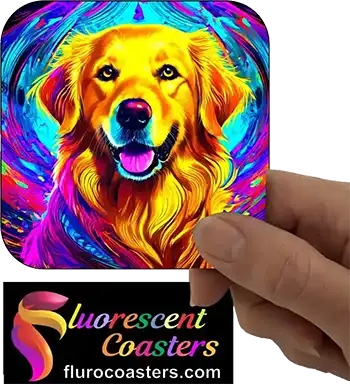  Golden Retriever Dog 1