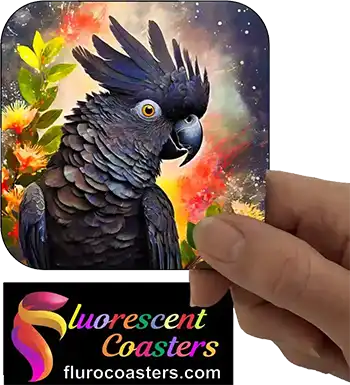  Cockatoo 2