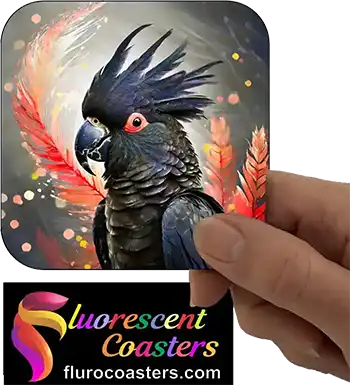  Cockatoo 3