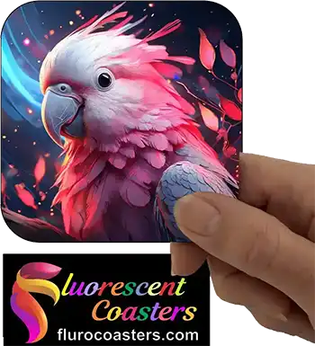  Galah 2
