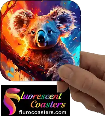  Koala 29
