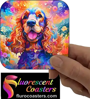  English Cocker Spaniel Dog 3