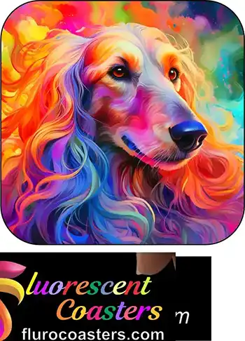  Afghan Hound Dog 5