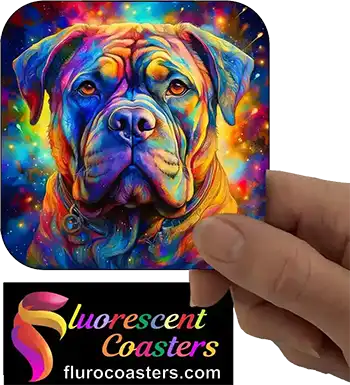  Bullmastiff Dog 7