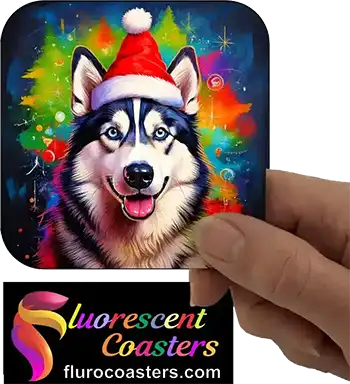  Husky Dog Wearing Christmas Hat 1