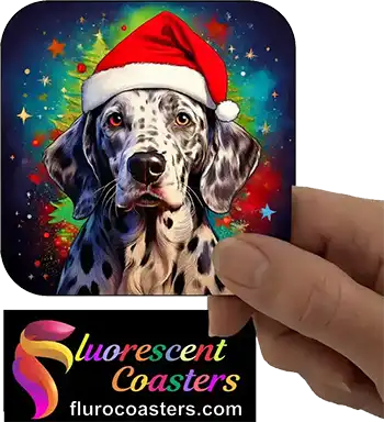  Dalmatian Dog Wearing Christmas Hat 1