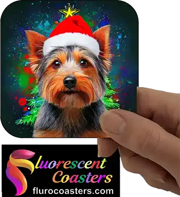  Australian Terrier Dog Wearing Christmas Hat 1