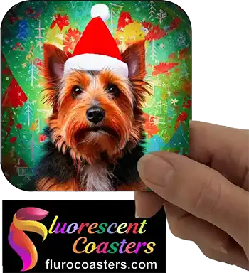  Australian Terrier Dog Wearing Christmas Hat 2