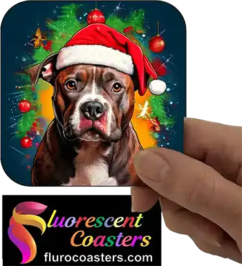  Staffordshire Bull Terrier Dog Wearing Christmas Hat 1