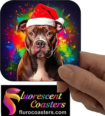  Staffordshire Bull Terrier Dog Wearing Christmas Hat 3