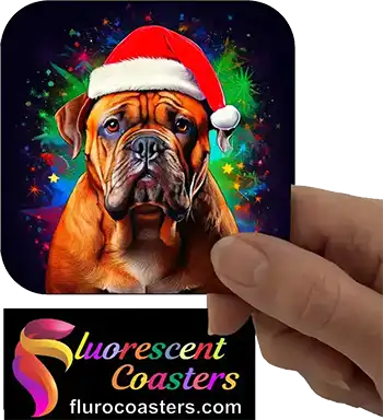  Bull Mastiff Dog Wearing Christmas Hat 1