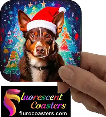  Australian Kelpie Dog Wearing Christmas Hat 1