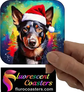  Australian Kelpie Dog Wearing Christmas Hat 2