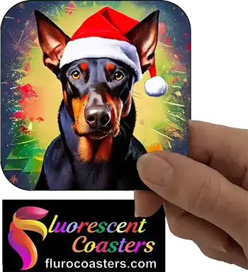  Dobermann Dog Wearing Christmas Hat 2