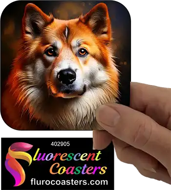 Akita Dog 5