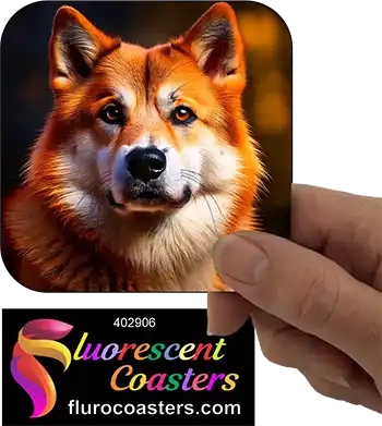 Akita Dog 6