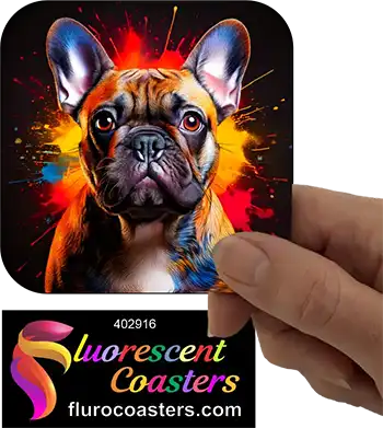French Bulldog 1
