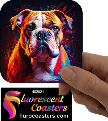Bulldog 5