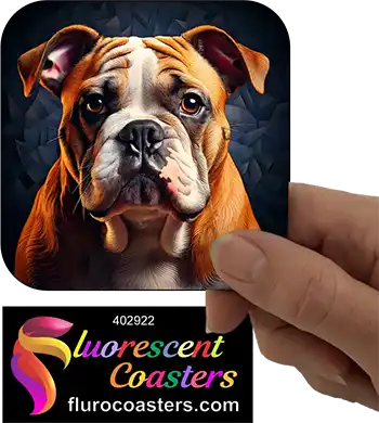 Bulldog 6