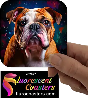 Bulldog 11