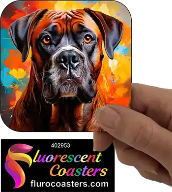 Brindle Boxer Dog 4