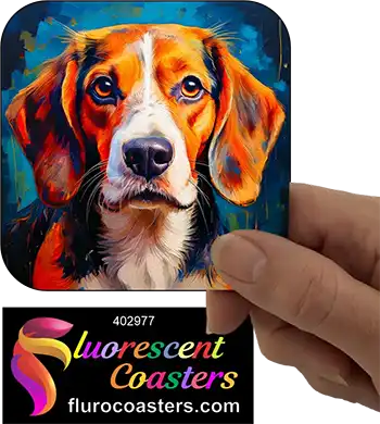 Beagle Dog 3