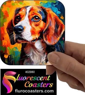 Beagle Dog 6