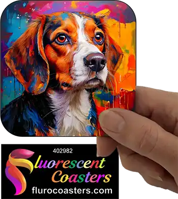 Beagle Dog 8