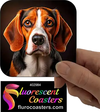 Beagle Dog 10