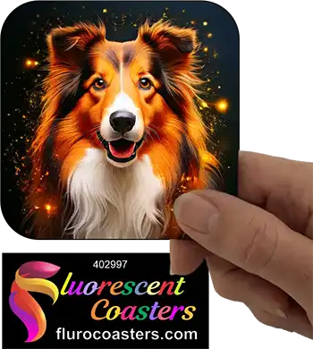 Collie Dog 3