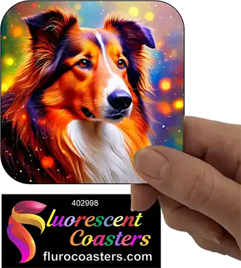 Collie Dog 4
