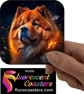  Chow Chow Dog 1