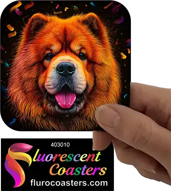 Chow Chow Dog 2