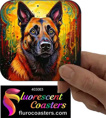 Belgian Malinois Dog 4