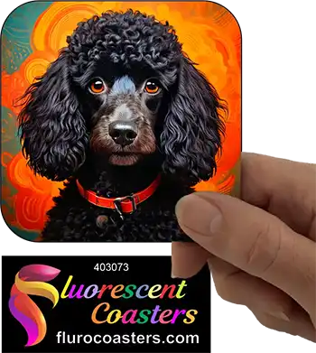 Black Poodle Dog 1