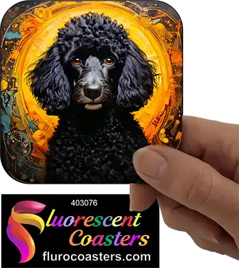 Black Poodle Dog 4