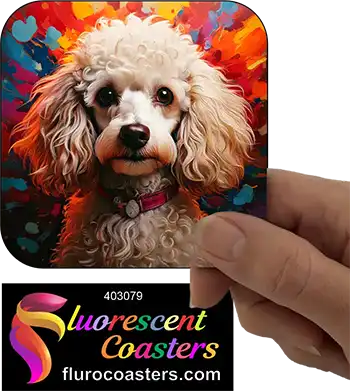 White Poodle Dog 1