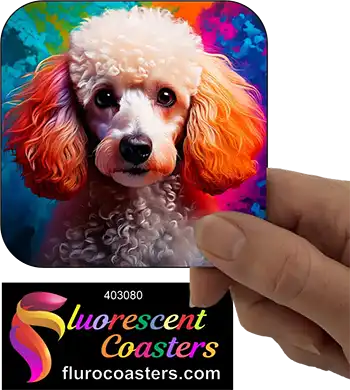 White Poodle Dog 2