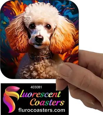 White Poodle Dog 3