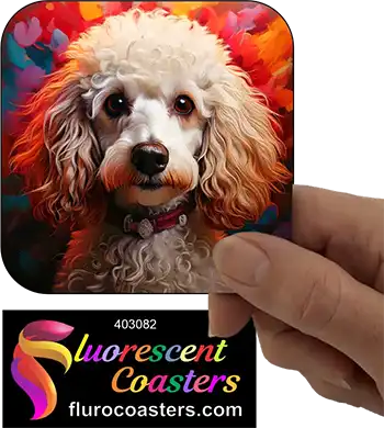 White Poodle Dog 4