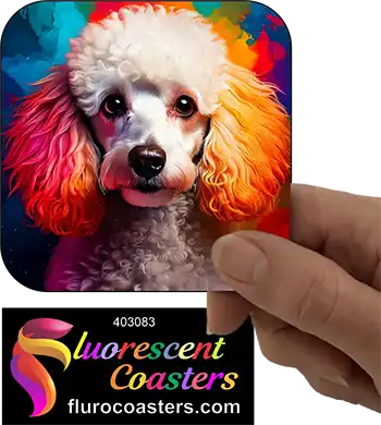 White Poodle Dog 5