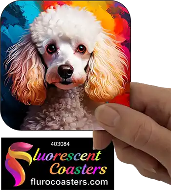 White Poodle Dog 6