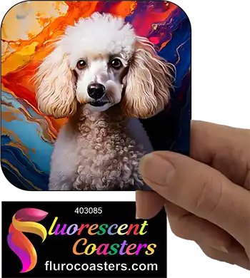 White Poodle Dog 7
