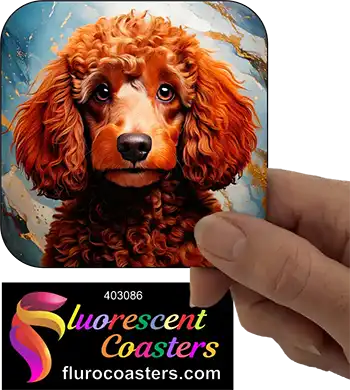 Brown Poodle Dog 1