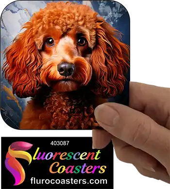 Brown Poodle Dog 2