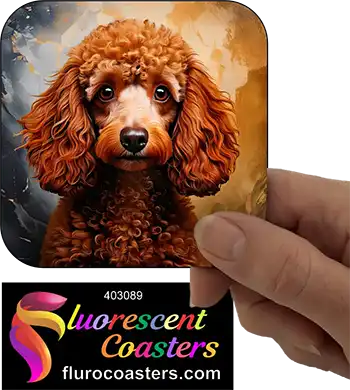 Brown Poodle Dog 4