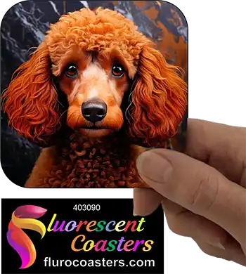 Brown Poodle Dog 5